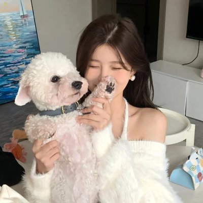 修饰 封面